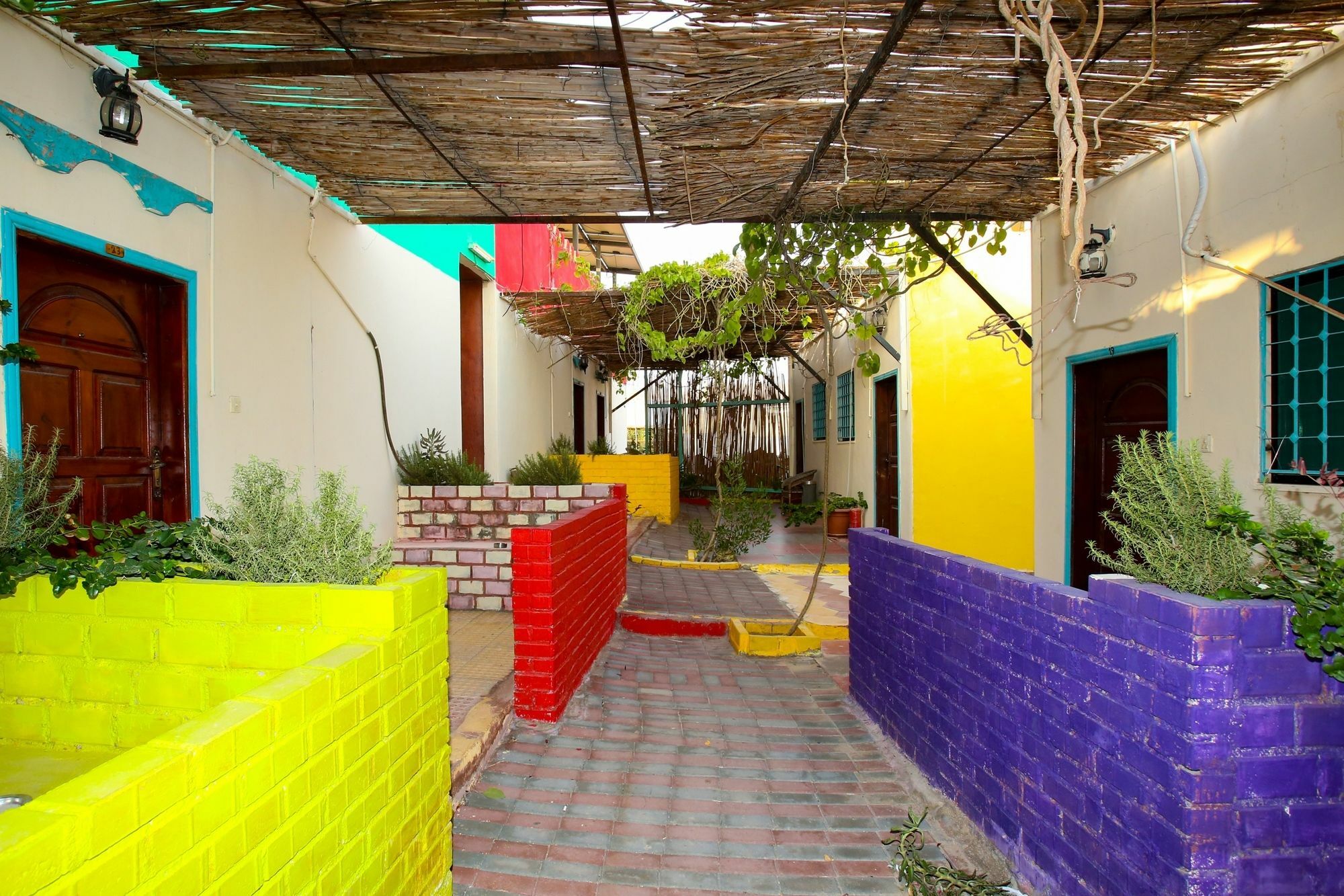 Bedouin Garden Village, Hotel Dive Aqaba Exteriör bild